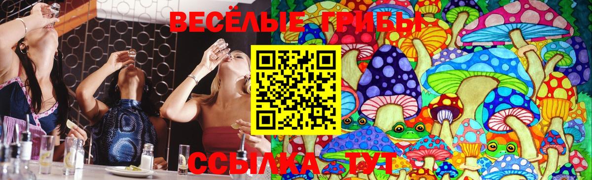 купить наркоту  Галлюциногенные грибы Magic Shrooms  Вход с VPN  Галлюциногенные грибы ЛСД  Фрязино 